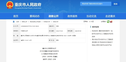 重慶信息技術咨詢服務 政府官網(wǎng)指引與企業(yè)創(chuàng)新發(fā)展的雙贏之道